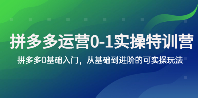 【5701】拼多多-运营0-1实操训练营，拼多多0基础入门，从基础到进阶的可实操玩法