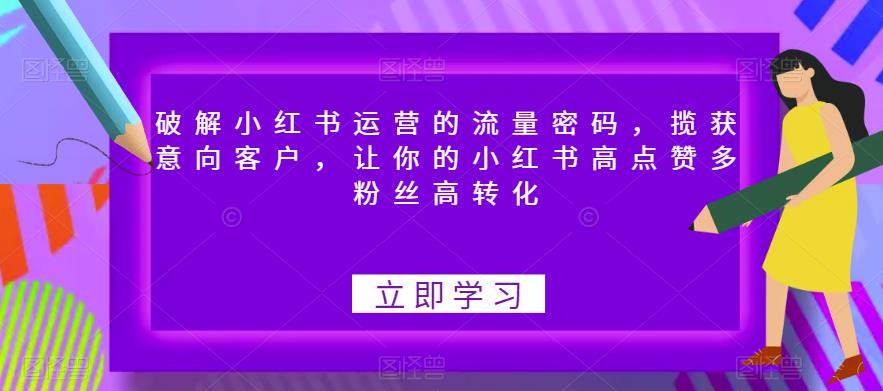 【6508】破解小红书运营的流量密码，揽获意向客户，让你的小红书高点赞多粉丝高转化