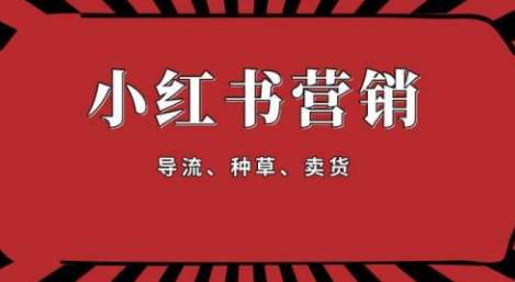 【1917】手把手教做小红书帐号，一篇笔记涨粉10000，月入十万的博主秘笈