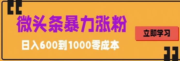 【5870】微头条暴力涨粉技巧搬运文案就能涨几万粉丝，简单0成本，日赚600