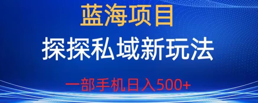 【6794】蓝海项目，探探私域新玩法，一部手机日入500+很轻松【揭秘】