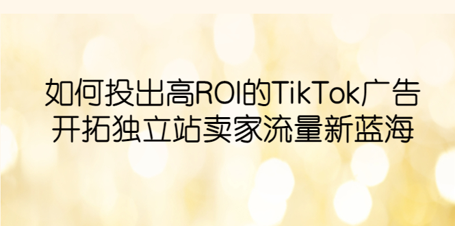 【6024】如何投出高ROI·TikTok广告，开拓独立站卖家流量新蓝海