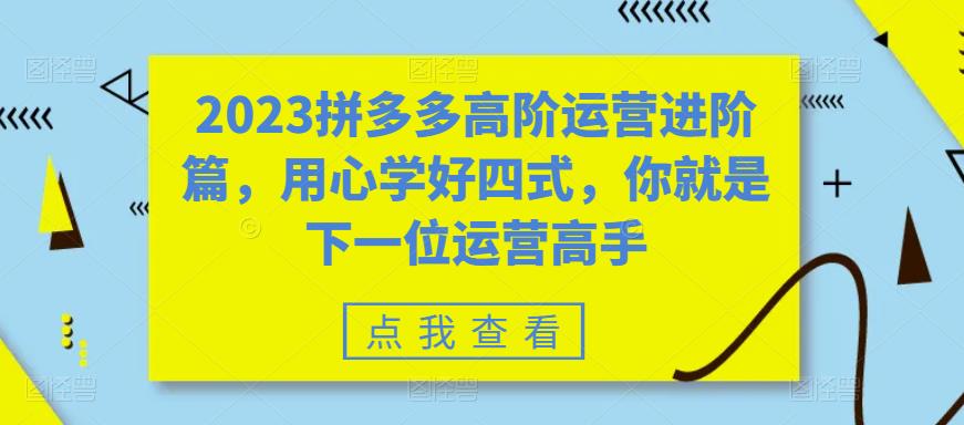 【6141】2023拼多多高阶运营进阶篇，用心学好四式，你就是下一位运营高手