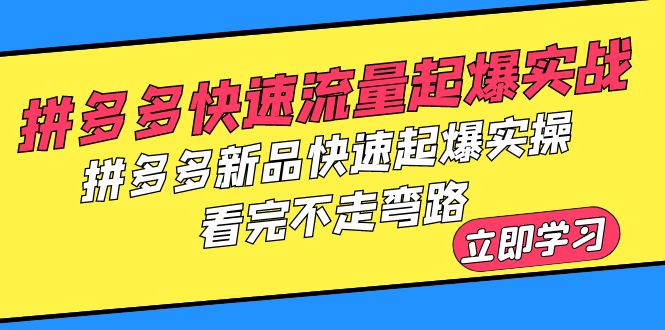 【6210】拼多多-快速流量起爆实战，拼多多新品快速起爆实操，看完不走弯路