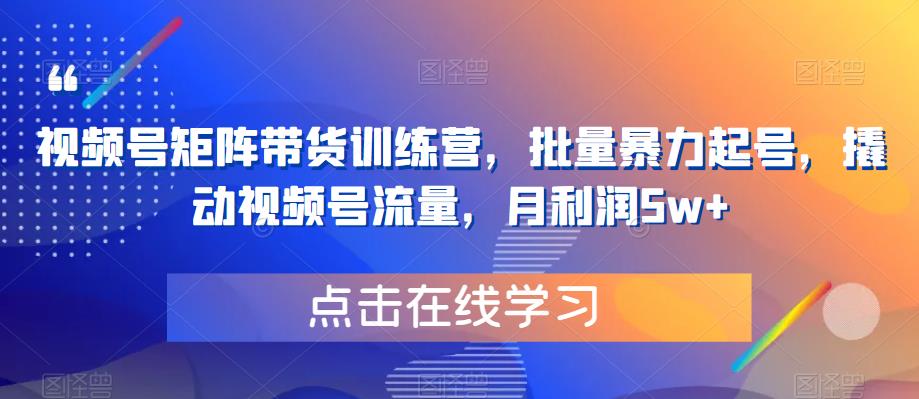 【6154】视频号矩阵带货训练营，批量暴力起号，撬动视频号流量，月利润5w+