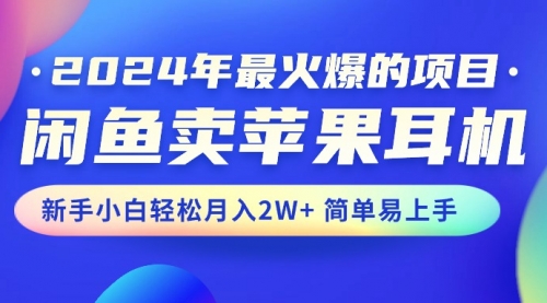 【10487】闲鱼卖苹果耳机，新手小白轻松月入2W+简单易上手