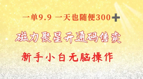 【10248】快手磁力聚星码信息差 售卖 一单卖9.9 一天也轻松300+