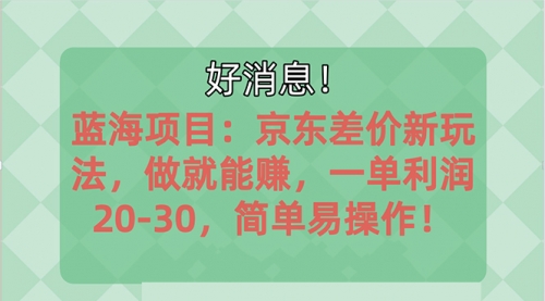 【10592】蓝海项目：京东大平台操作，一单利润20-30