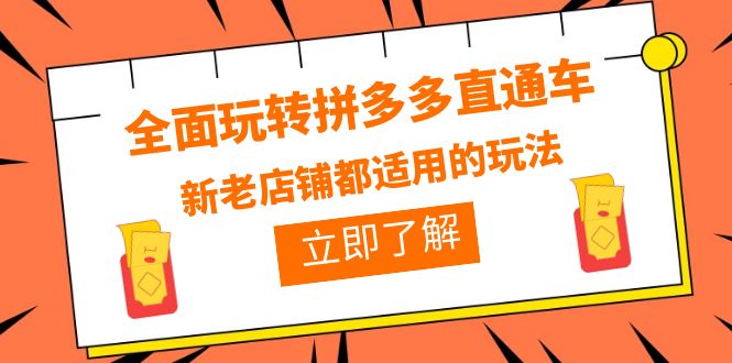 【6259】全面玩转拼多多直通车，新老店铺都适用的玩法（12节精华课）