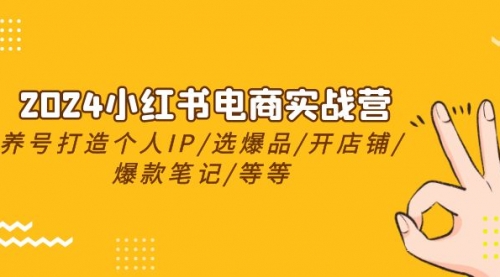 【10128】2024小红书电商实战营，养号打造IP/选爆品/开店铺/爆款笔记/等等（24节）