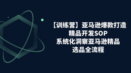 【10743】亚马逊爆款打造之精品开发SOP，系统化洞察亚马逊精品选品全流程