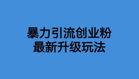 【6272】价值1980一千个野路子暴力引流最新升级玩法【揭秘】