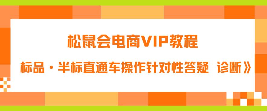 【6273】松鼠会电商VIP教程：松鼠《付费推广标品·半标直通车操作针对性答疑&诊断》