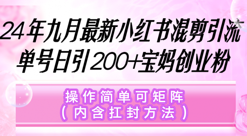 【第11519期】小红书混剪引流，单号日引200+宝妈创业粉，操作简单可矩阵