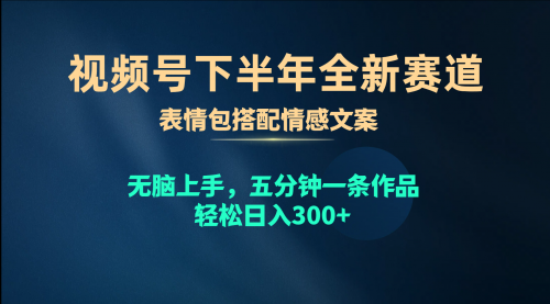 【10048】视频号下半年全新赛道，表情包搭配情感文案 无脑上手，五分钟一条作品