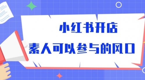 【10054】小红书开店，素人可以参与的风口