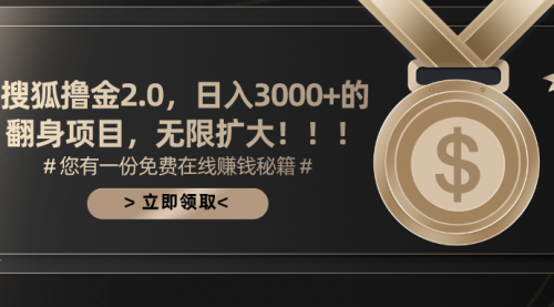 【10727】搜狐撸金2.0日入3000+，可无限扩大的翻身项目