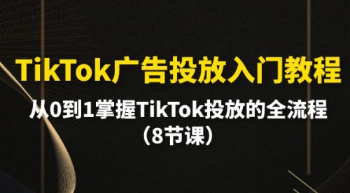 【9921】TikTok广告投放入门教程，从0到1掌握TikTok投放的全流程（8节课）