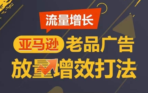 【10287】亚马逊流量 增长-老品广告 放量增效打法/销量翻倍/打造更多TOP listing