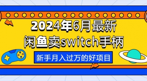 【10461】2024年6月最新闲鱼卖switch游戏手柄