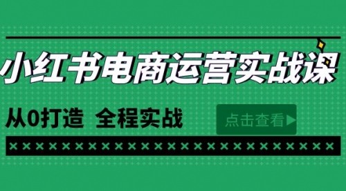 【9822】最新小红书·电商运营实战课，从0打造 全程实战（65节视频课）