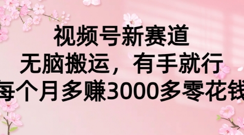 【9250】视频号新赛道，无脑搬运，有手就行，每个月多赚3000多零花钱