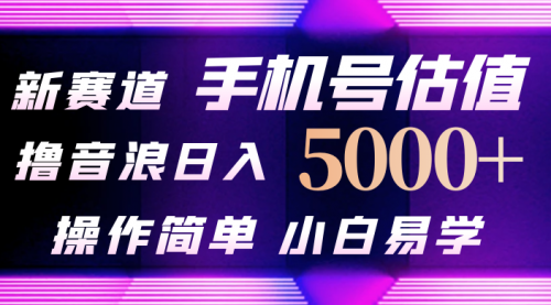 【9967】抖音不出境直播【手机号估值】最新撸音浪，日入5000+