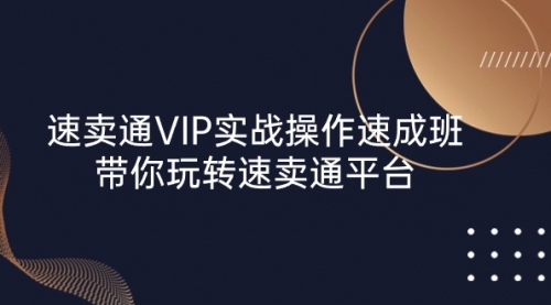 【10560】速卖通 VIP实战操作-速成班，带你玩转速卖通平台