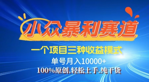 【第11547期】【老人言】-视频号爆火赛道，三种变现方式