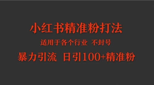 【9679】小红书各个行业适用的精准粉暴力引流打法 日引100+精准粉