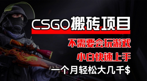 【第11414期】CSGO 装备搬砖项目，操作简单，不需要会玩游戏，小白也能快速上手