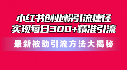 【10376】小红书创业粉引流捷径！最新被动引流方法大揭秘，实现每日300+精准引流