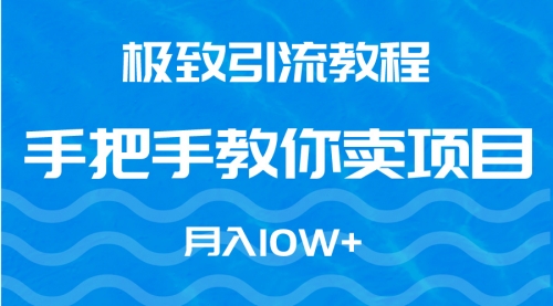 【9232】极致引流教程，手把手教你卖项目，月入10W+