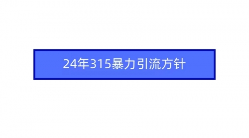 【9344】2024年315暴力引流方针