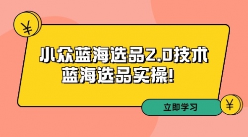 【9195】拼多多培训33：小众蓝海选品2.0技术-蓝海选品实操！