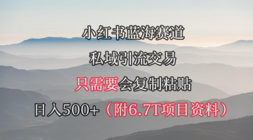 【9415】小红书短剧赛道，私域引流交易，会复制粘贴，日入500+（附6.7T短剧资源）