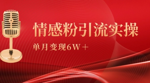 【9370】单月变现6w+，情感粉引流变现实操课