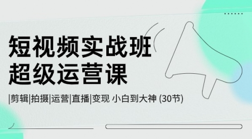 【10483】短视频实战班-超级运营课，|剪辑|拍摄|运营|直播|变现 小白到大神 (30节)