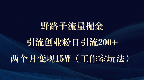 【9449】野路子流量掘金，引流创业粉日引流200+，两个月变现15W（工作室玩法）