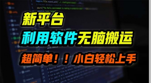 【9645】新平台用软件无脑搬运，月赚10000+，小白也能轻松上手