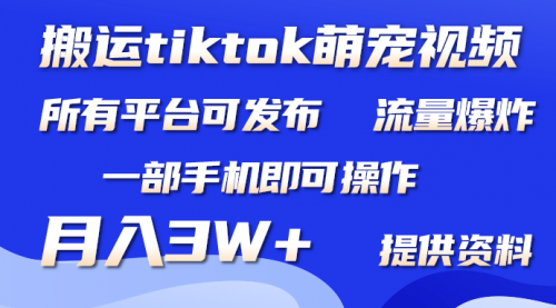 【9530】搬运Tiktok萌宠类视频，一部手机即可。所有短视频平台均可操作，月入3W+