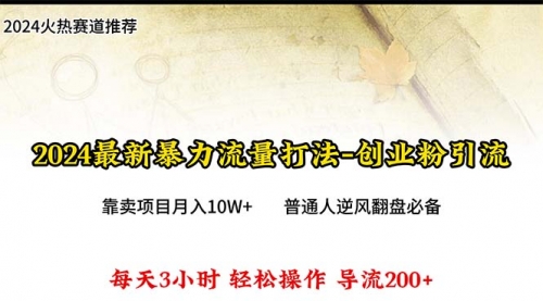 【9969】2024年最新暴力流量打法，每日导入300+，靠卖项目月入10W+