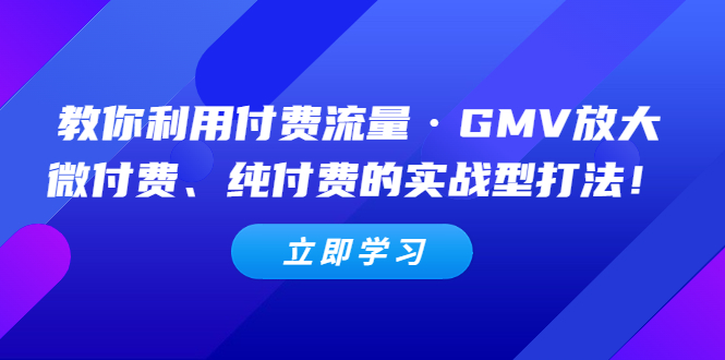 【5165】教你利用付费流量·GMV放大，微付费、纯付费的实战型打法