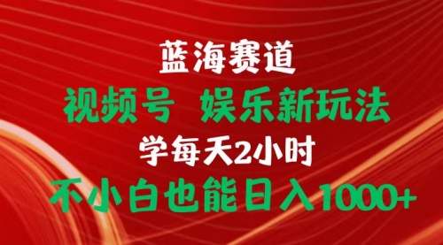 【10470】蓝海赛道视频号 娱乐新玩法每天2小时小白也能日入1000+