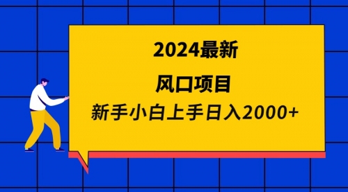 【9419】2024最新风口项目 新手小白日入2000+