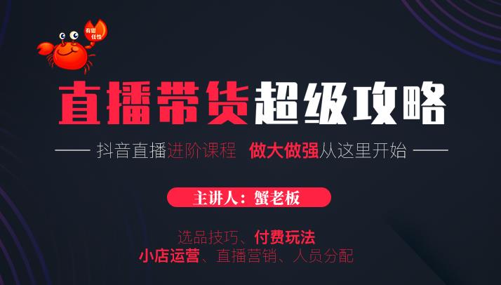 【1994】抖音直播带货超级攻略：抖音直播带货的详细玩法，小店运营、付费投放等