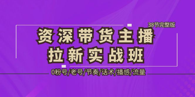 【5233】资深·带货主播拉新实战班，0粉号/老号/节奏/话术/播感/流量-38节完整版