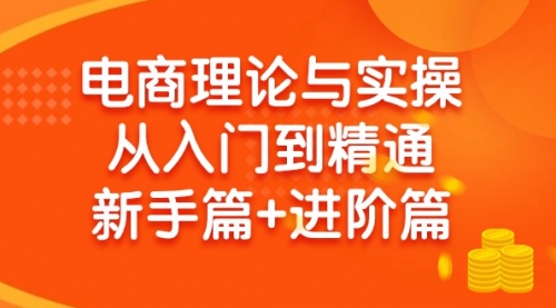 【9505】电商理论与实操从入门到精通：抖店+淘系+多多，新手篇+进阶篇