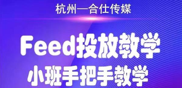 【2053】合仕传媒Feed投放教学，手把手教学，开车烧钱必须自己会！