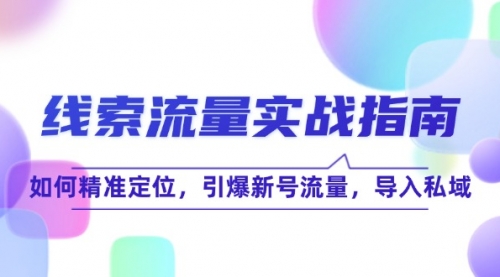 【第11451期】线 索 流 量-实战指南：如何精准定位，引爆新号流量，导入私域